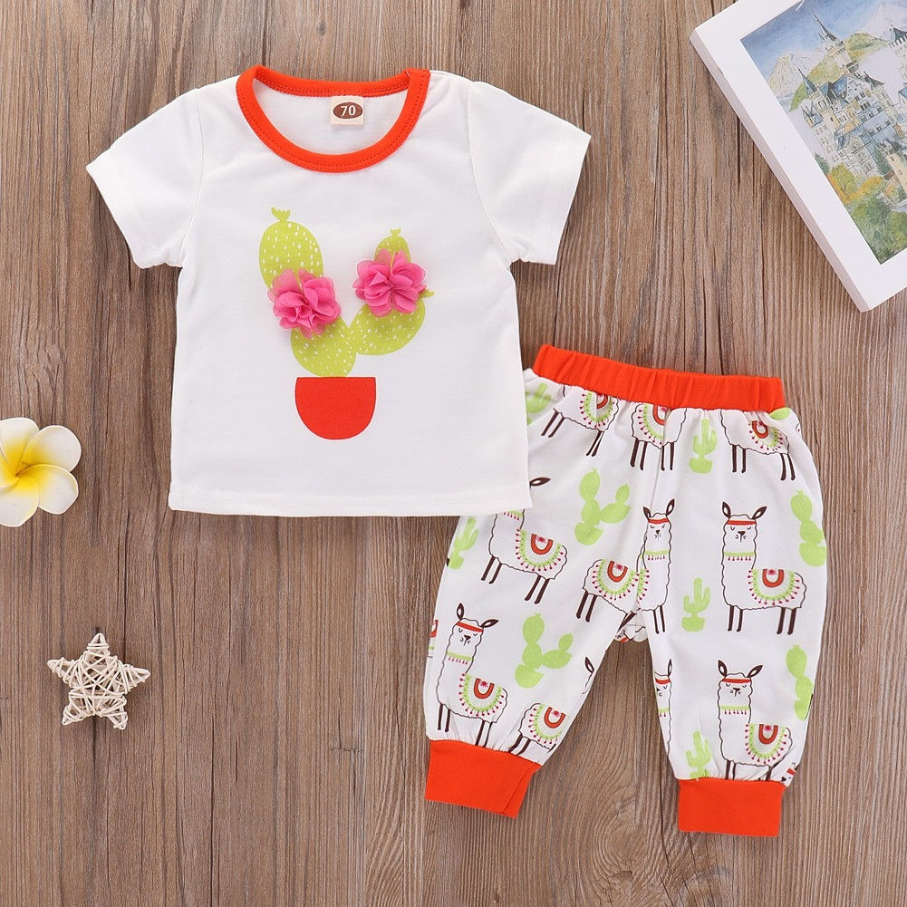 2pcs Cactus top + Bottom