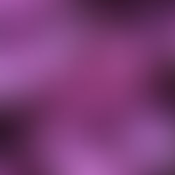 July 2024 | Mesmerized