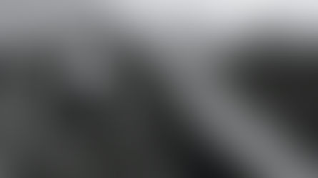 How to Verify OSHA 10 Training in 2026: 5 Official Steps