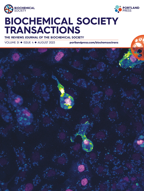 Biochemical Society Transaction cover image_Aug 2023.png