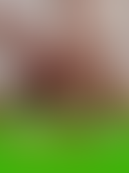 Twoje 1,5% podatku ma znaczenie!