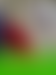 Konferencja naukowa: Nauka, Pacjent, Dane: Nowoczesny wymiar badań klinicznych