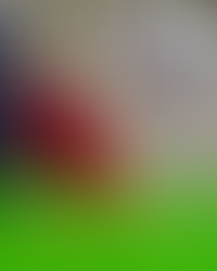 Konferencja naukowa: Nauka, Pacjent, Dane: Nowoczesny wymiar badań klinicznych