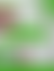 Dziś święto Wolontariuszy!