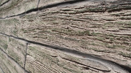 Ahşap Görünümlü Panel