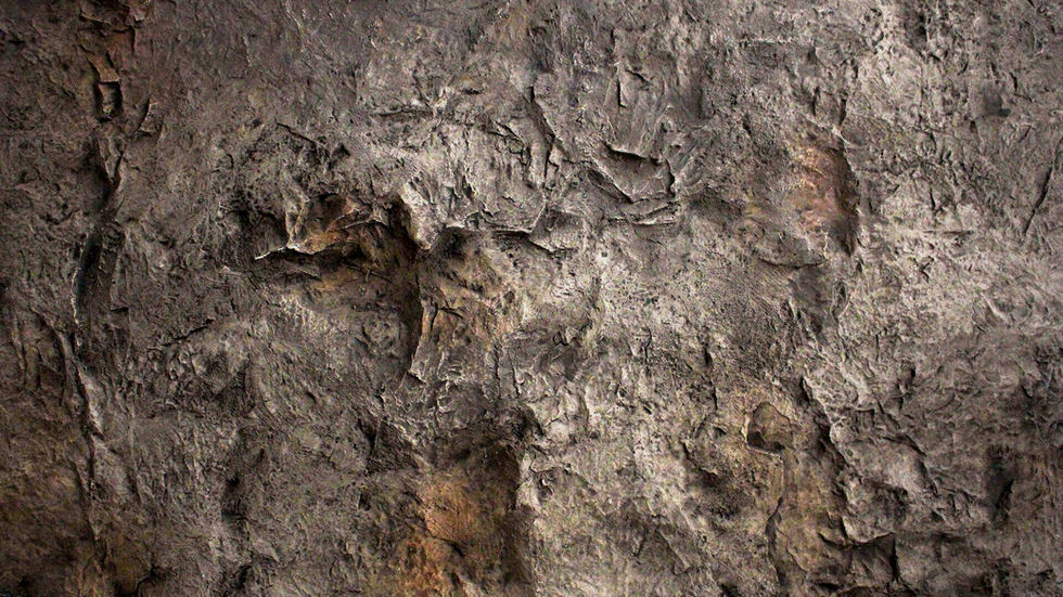 Kaya Panel | Kaya Duvar Panel | 502 | BRICKSTONE