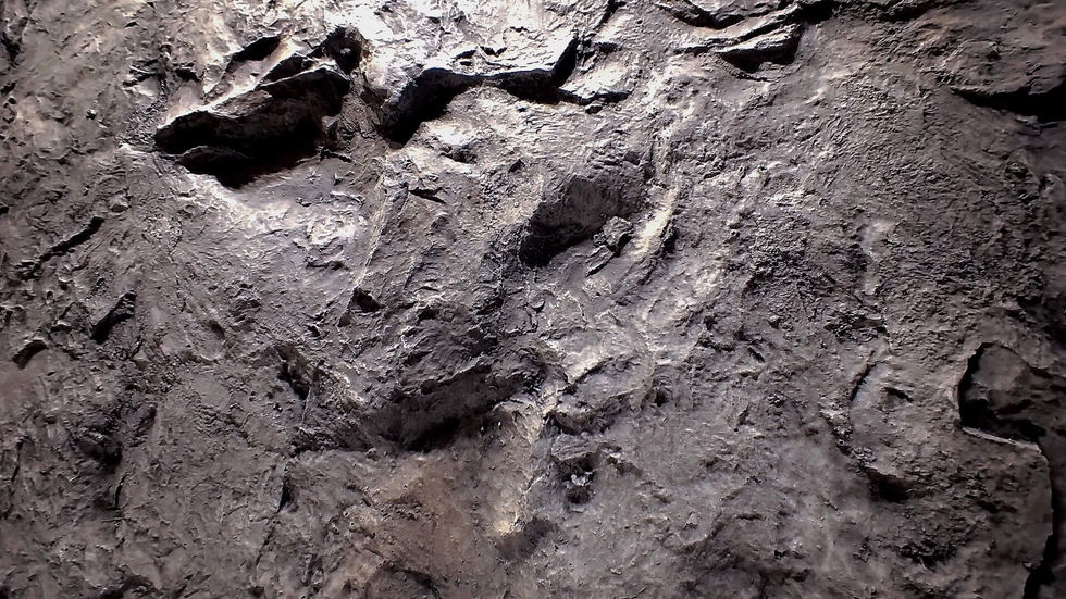 Kaya Panel | Kaya Duvar Panel | BRICKSTONE