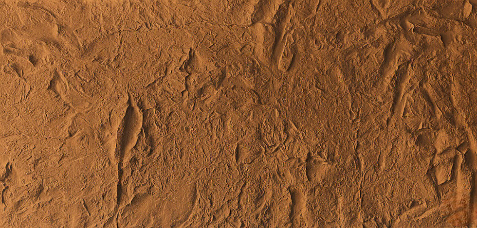 Kaya Panel | Kaya Görünümlü Panel | 517