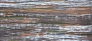 Ahşap Görünümlü Panel | Duvar Panel | Ağaç Kabuğu Panel | 309