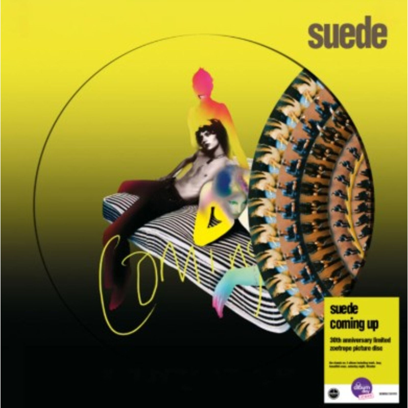Suede – Coming Up (Zoetrope Picture Disc)