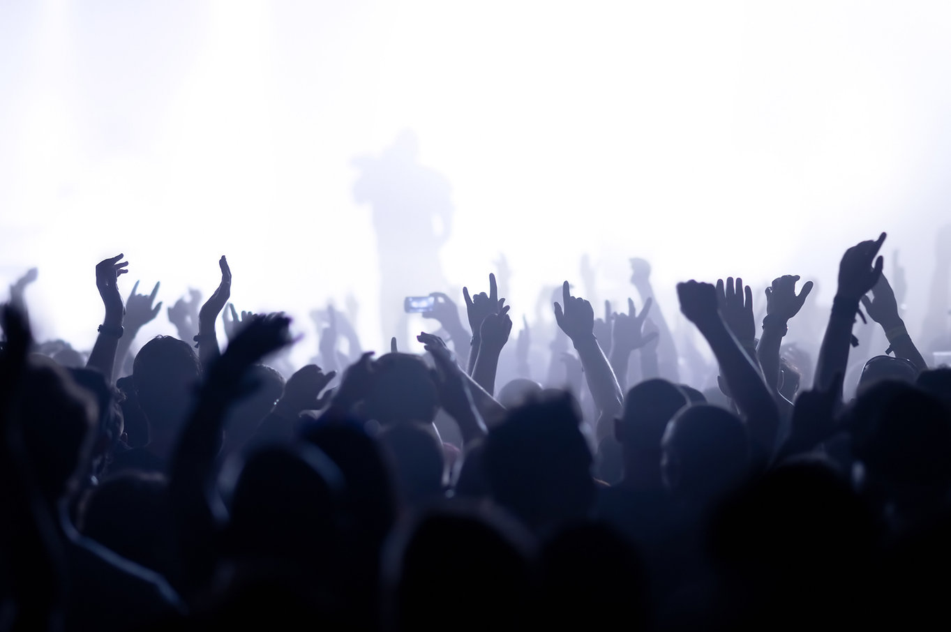 Silhouettes of the Crowds