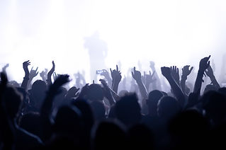 Silhouettes of the Crowds
