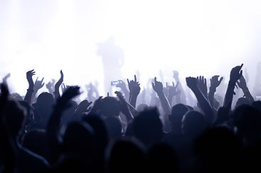 Silhouettes of the Crowds