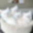 348667085_3409512499263947_468891402705690549_n.jpg