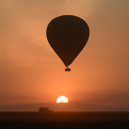 Great Migration Safari Checklist