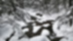 Snow River