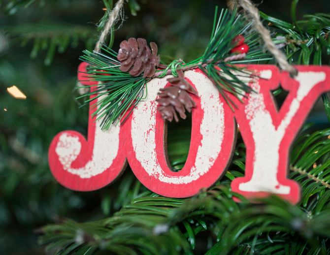 Pure Joy, By Rev. Lauren Parliament