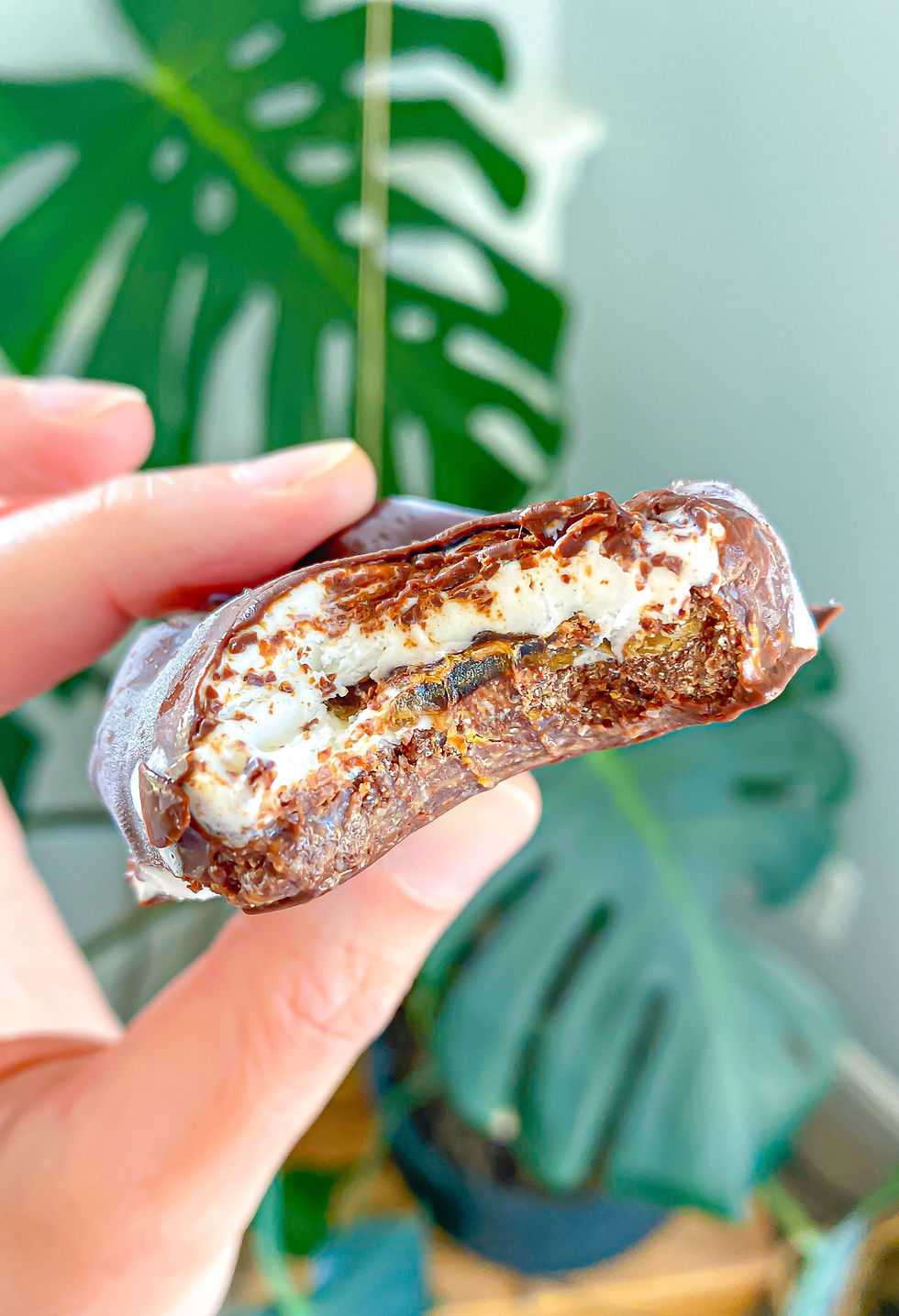 Vegan Caramel Vanilla Ice Cream Sandwich Bites