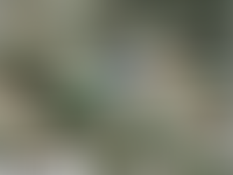 If You Don't Ask, You Don't Receive.... Can We Have Some DART Dollars, Please?