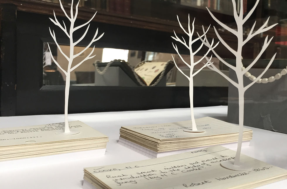 Information Trees: Taxonomies