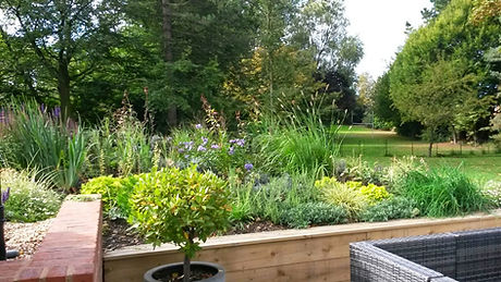 garden design_perennial