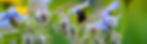 resilient gardens.jpg