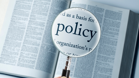 The Policy Blindspots: Impact Women Farmers