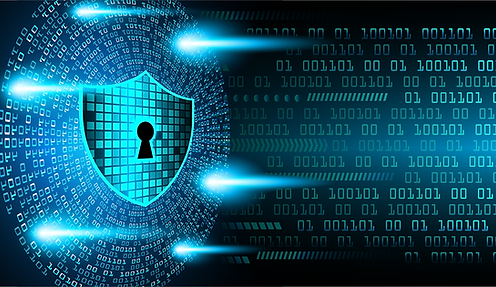 Web Security and IP Protection