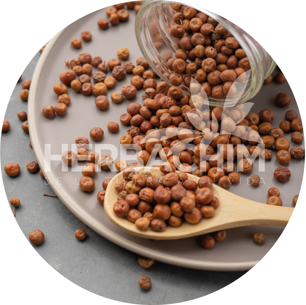 Pinguica Fruta Entera