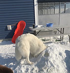 IMG_9918.jpg
