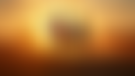 Unique Date Night Ideas: Proposal Rides with Horses