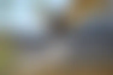 Worker pressure washing a tiled roof.