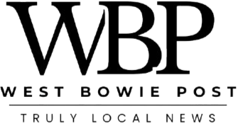 Black_and_Yellow_Modern_Monogram_Logo-removebg-preview_edited.png