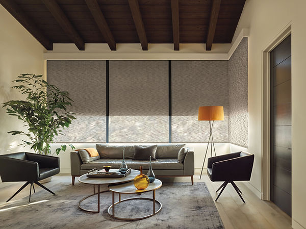 dual roller shade