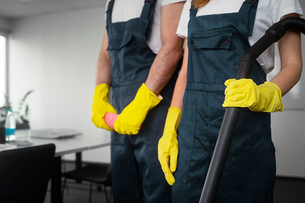 people cleaning building