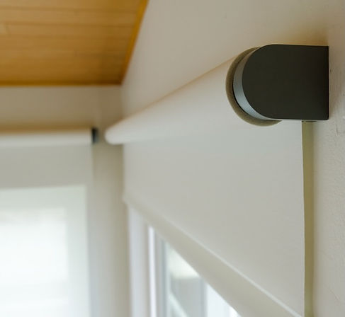 Roller Shade Flexstyle - square.jpeg