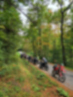 Riders cruising through forest trail
