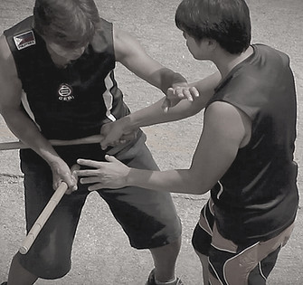 pasncarlo birdy2_edited_edited_edited.jp