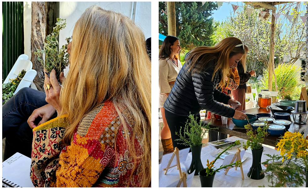Montagu Herb Festival rea Blending workshop