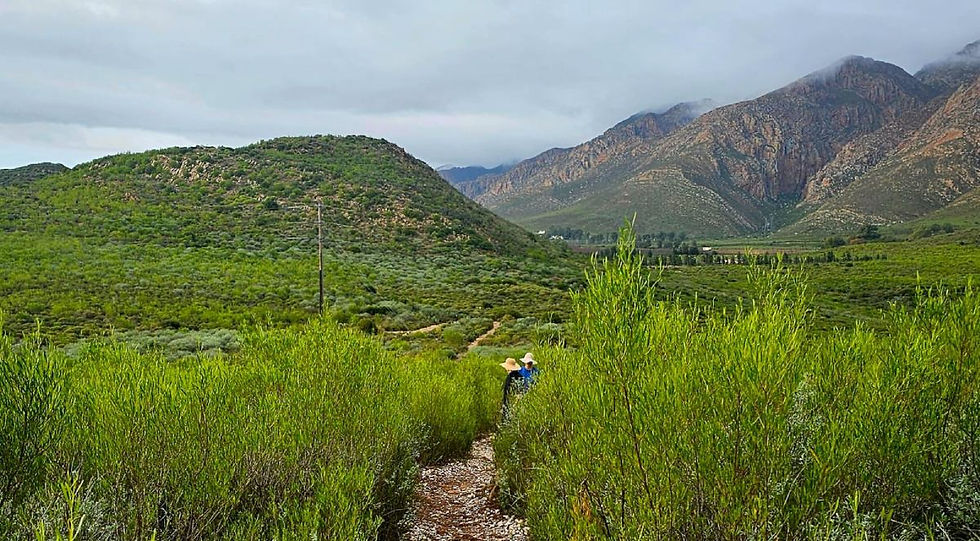 Bessiekop hike Montagu