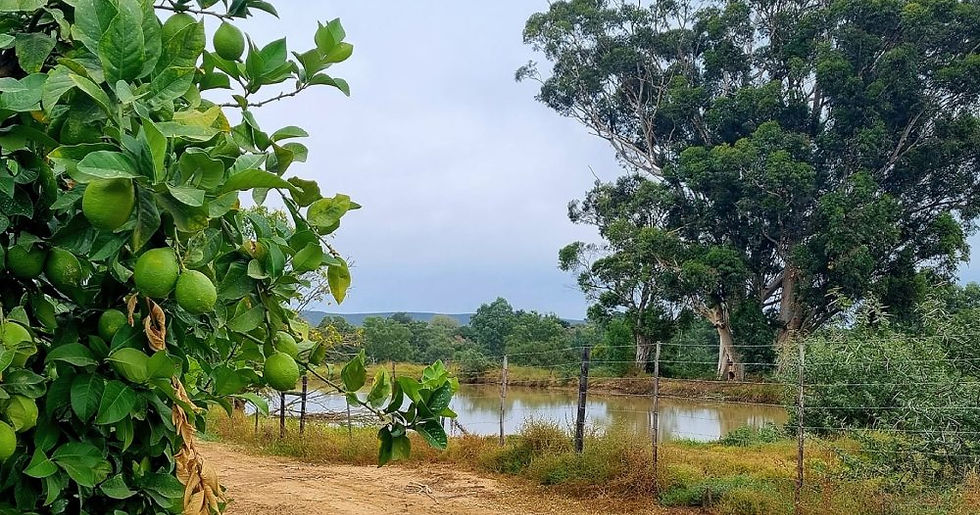 Addo Sundays River Lodge, Eastern Cape
