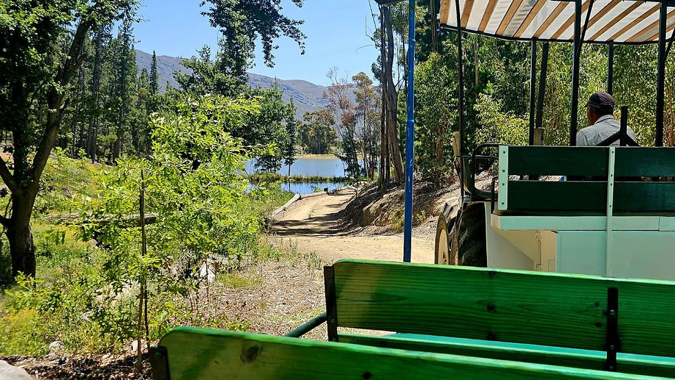 Pierre Burger, Protea Farm tractor ride