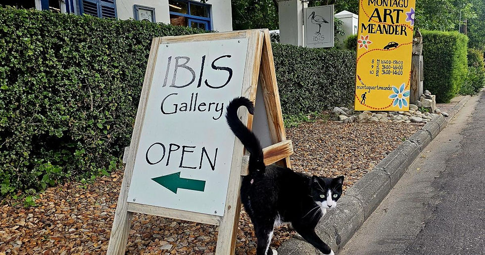 Ibis Gallery Montagu