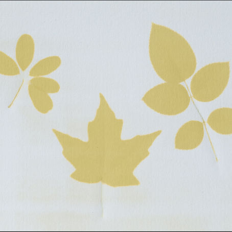 Anthotypes