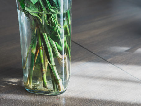 The Vase