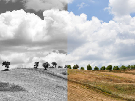 It's Not All Black and White