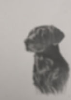 Pencil