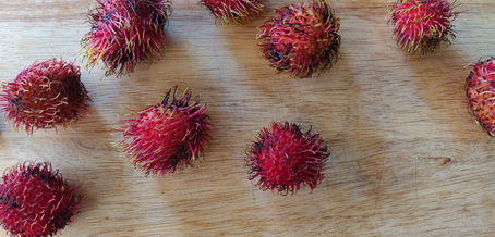 Meet Me - Rambutan!