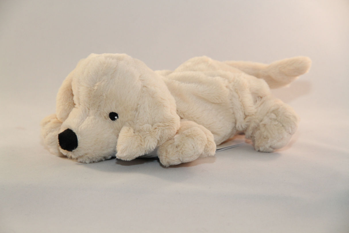 Baby - Hund