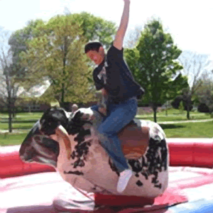 Mechanical Bull